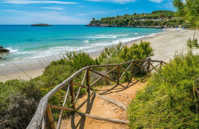 Ecolodge Selvitelle - Sustainable Retreat Amidst Olive Groves in Cilento
