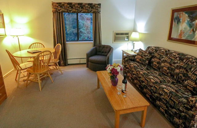 Efficiency with Sleeper Sofa only 214