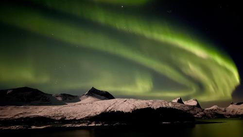 Efjord and Stetind Resort - Cabin Kulhorn