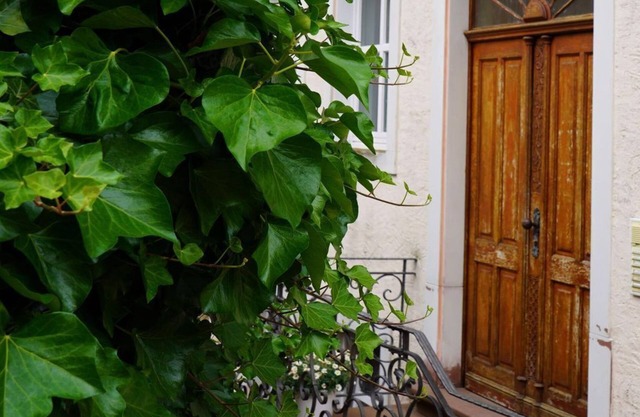 Eifel Fewo - 4-bed vacation apartment shower/WC, 2 bedrooms
