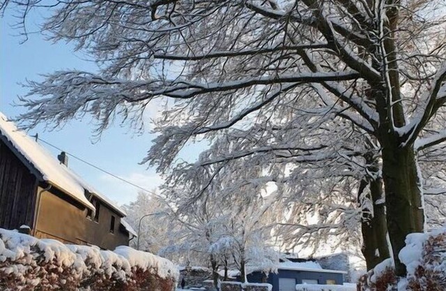 Eifel Oasis Comfortable holiday residence