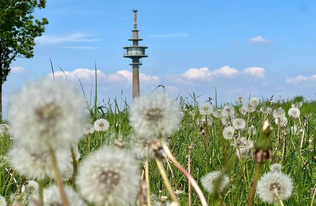 Eifelauszeit - Auszeit ist Eifelzeit/bis zu 8 Personen + Kind + Vierbeiner