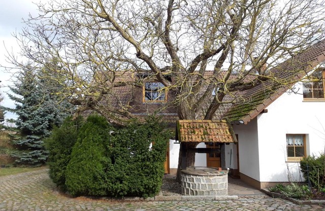 Ein Bett im Kornfeld - Haus Weitblick - mit Innenpool