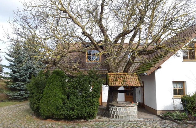 Ein Bett im Kornfeld - Haus Morgensonne - mit Innenpool