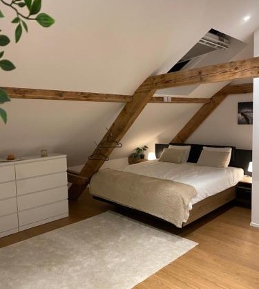 Eine schöne Wohnung an der Birs