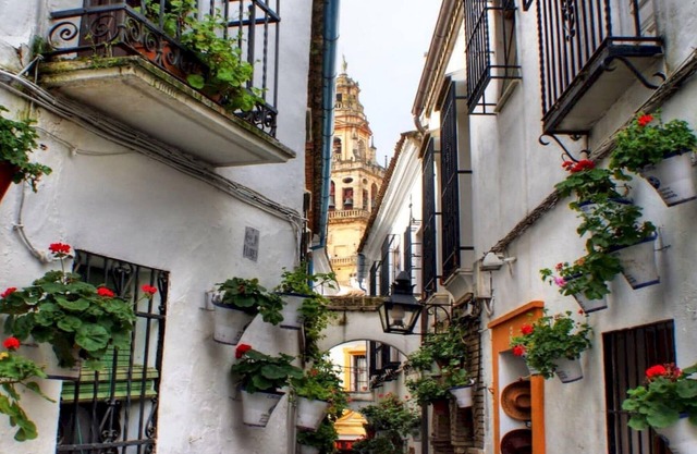 El Califa Apartment - 2 Rooms ⭐