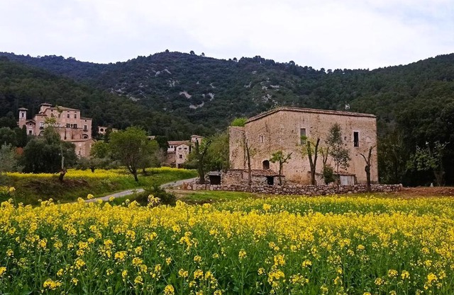 El Castell de Segueró