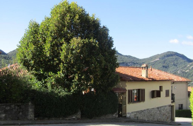 el jardinet