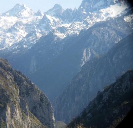 El llagar
