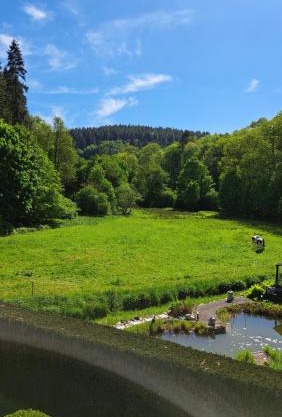 EL MIRADOR - Ferienwohnung Nähe Nürburgring - Eifel - Ahr - Rhein - RENOVIERT