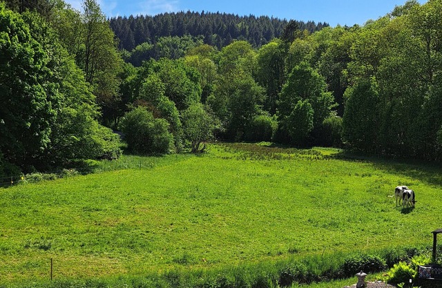 EL MIRADOR - Holiday apartment near Nürburgring - Eifel - Laacher See - Ahr