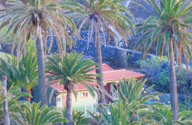 El Pirguan Holiday House, your oasis in La Gomera