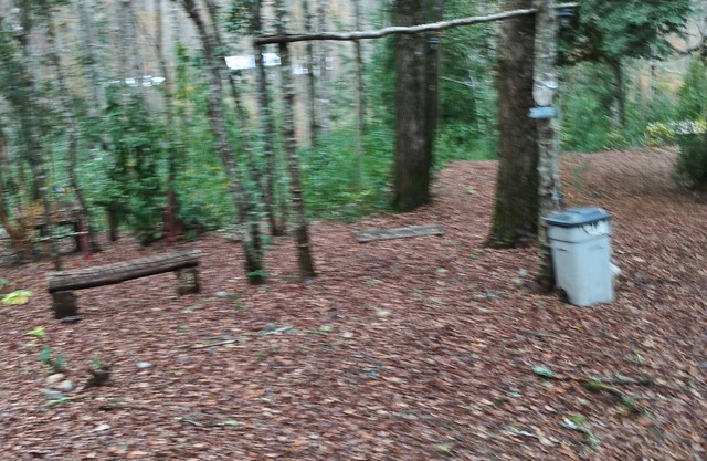 El roble cabins