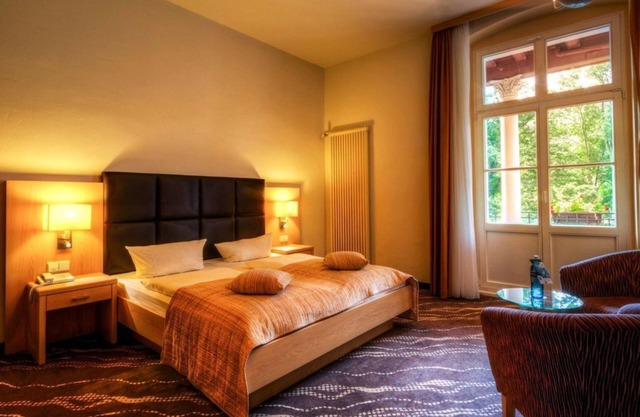 Elbe view room - for 2 persons - Parkhotel Bad Schandau