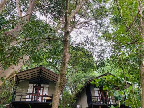 Ele Camp Udawalawe