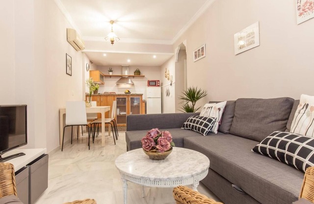 Elegant 2 BR in the heart of Seville.A/C/WIFI AV
