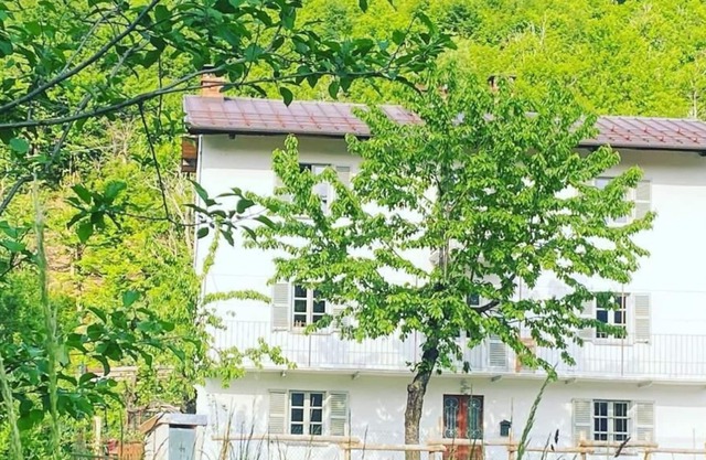 Elegant home in rural Piedmont - private pool- sauna and hot tub