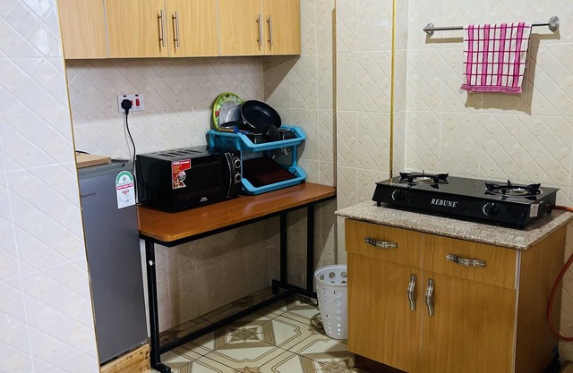 elegant super classy cozy furnished apartment