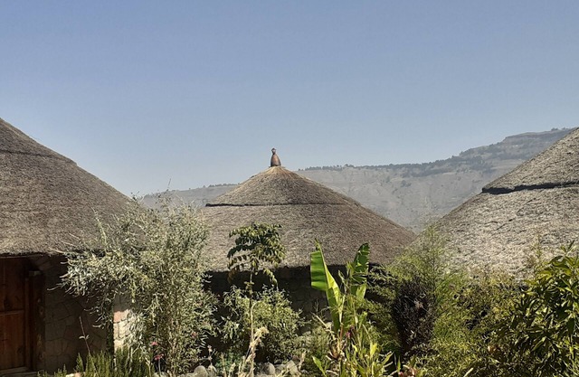 Elfgne Ecolodge Lalibela