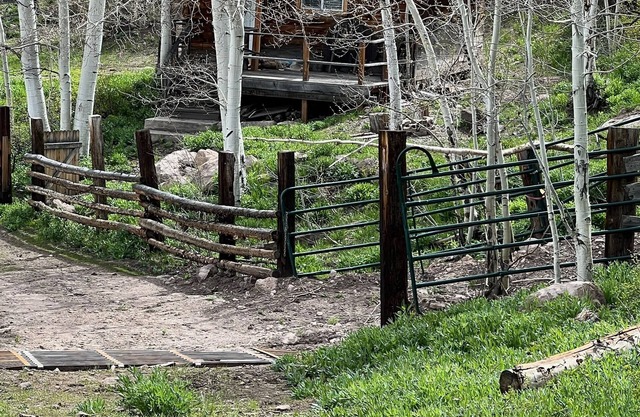 Elk Country
