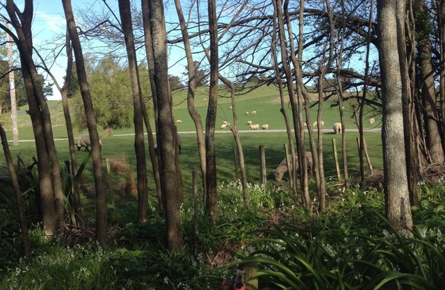 ELLSTONE farm,4km from Mba, mountain views,private,spa.Wifi.(linen extra fee)