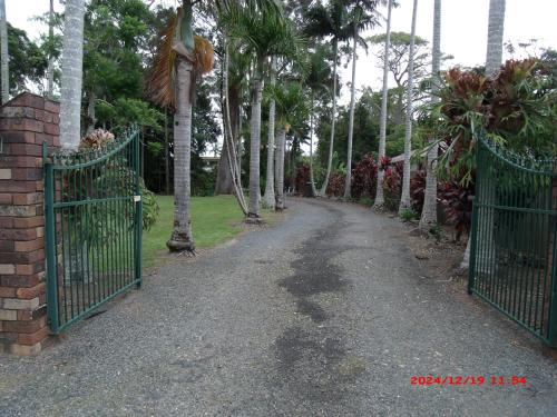 Emerald Tropical Palms B & B