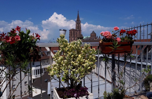 emilie 145m2 ac 1 free parking 4br 2bth