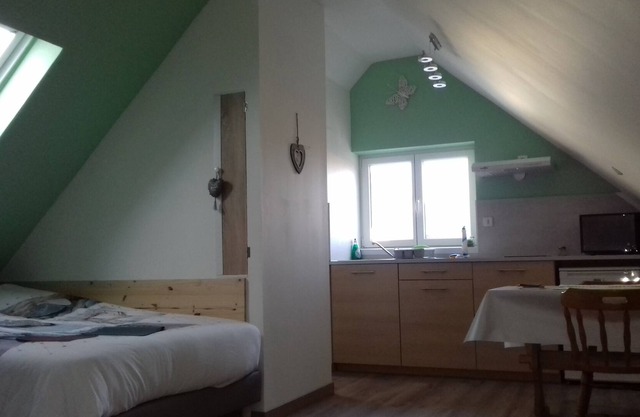 EMMA STUDIO (1/2 persons) 40min from Europapark, air-conditioned