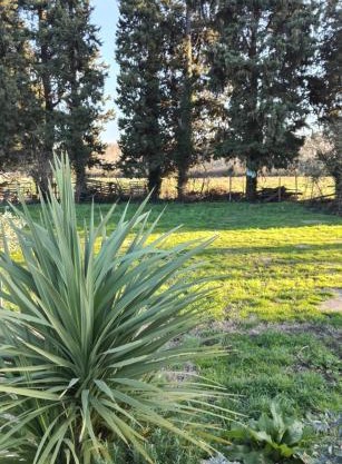Emplacement camping car chez agriculteur branchement électrique
