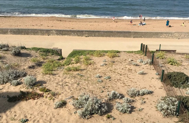 En Bord de Mer, vue et Accès Direct à la Plage