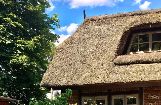 Enchanting domicile under thatch on the Elbe Cycle Path