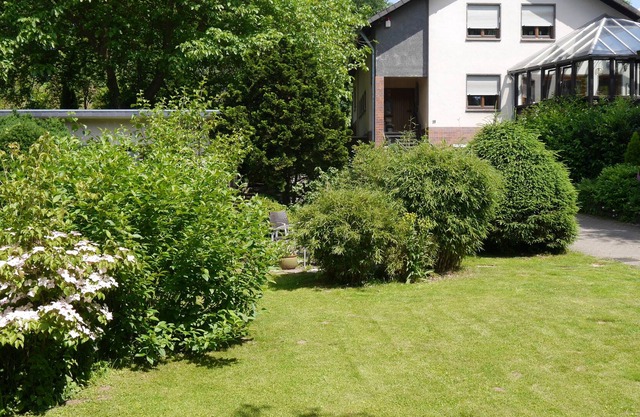 Enjoy relaxing days in the fabulous volcanic Laachersee