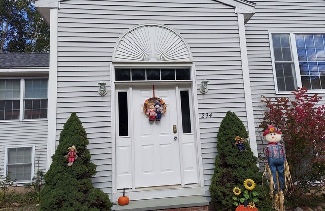 Enjoy the Splendor of the foliage in New Hampshire