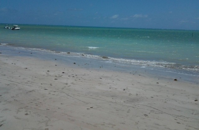 Enjoy this paradise, 150m from the sea, ideal for family atmosphere, beautiful beach