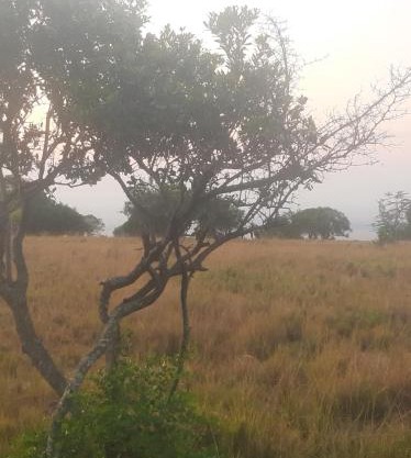 Enkereri Camp Maasai Mara