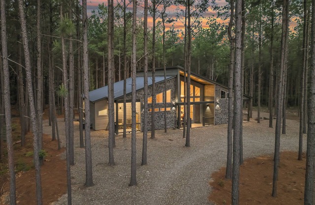 Entertainment Oasis: Luxe Cabin, Pet Friendly, Firewood
