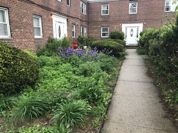 Entire 3 bedrooms+Parking 公寓独立3卧室浴室和厨房+停车场近法拉盛花园独立