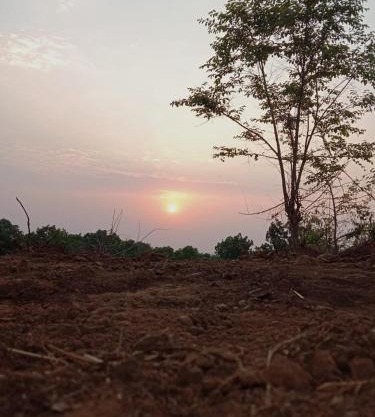 Entire Private Farm on Rent 2 Acre with 3 Room, it's Kittu's Farm