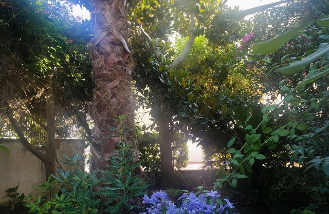 Entire villa surrounded by greenery 3 rooms with bathroom