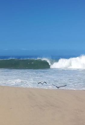 Entre o Mar e a Lagoa