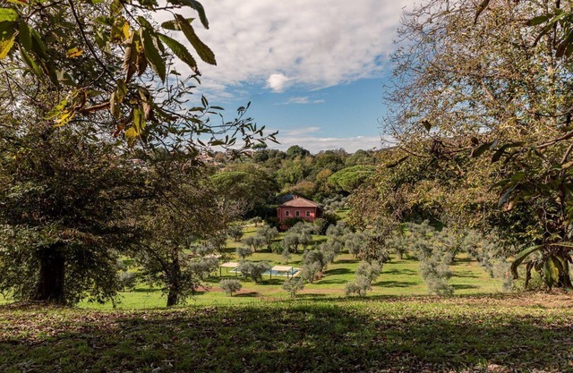 Enveloping natural atmosphere, enjoy it with your loved ones.