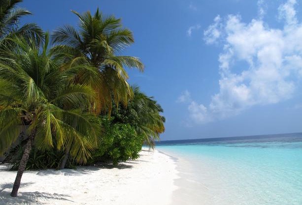 Equa Reef Maldives 