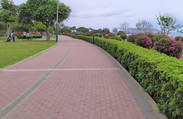 Eral Apartments San Isidro, cozy, quiet and close to the Malecon.
