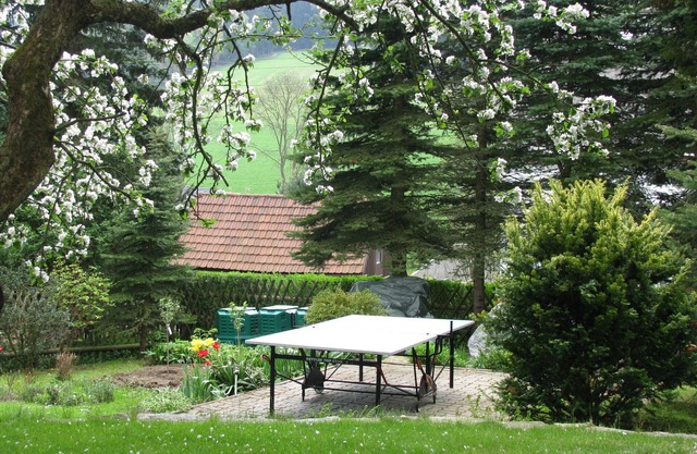 Erzgebirgsferienhaus "compatriot"