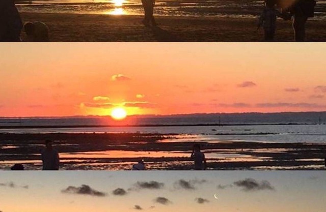 Escape the city to Coronet Bay & Phillip Island