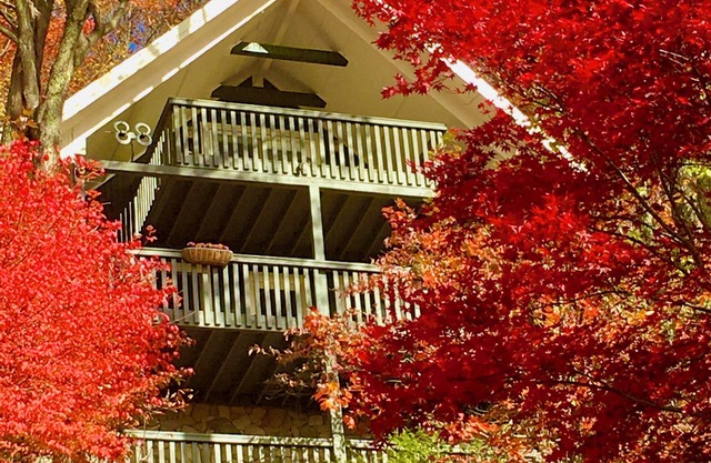 Escape to a Charming 3-bedroom cabin wonderland, with amazing long range views.