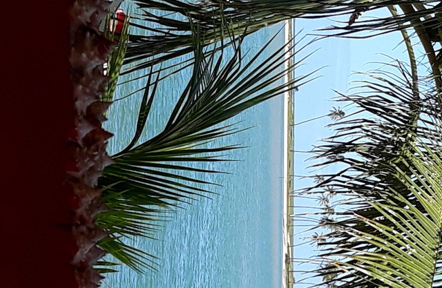 Escape to paradise on the Jacuipe River!