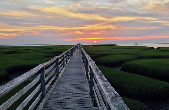 Escape to the Cape!nnn