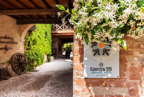 Esenta 55 - Lago di Garda
