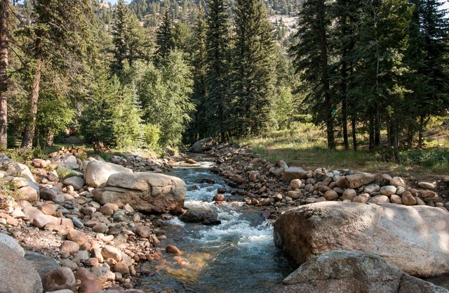 Estes Park Condos
